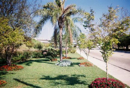 slides\street1.jpg